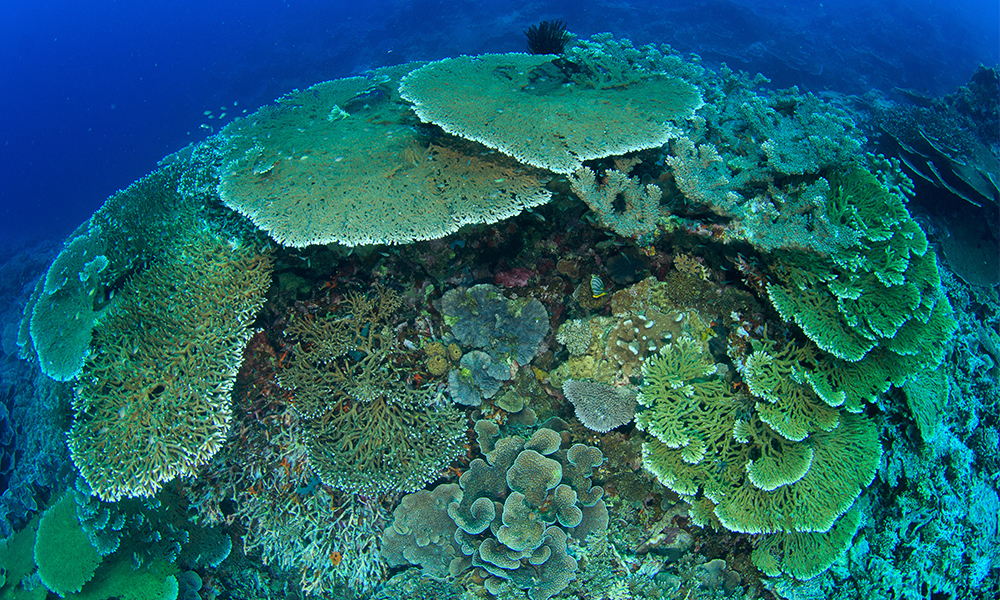 liburan ke labuan bao