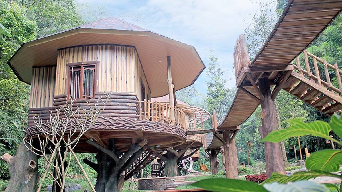 在您下次访问印尼时体验这些Safari探险之旅