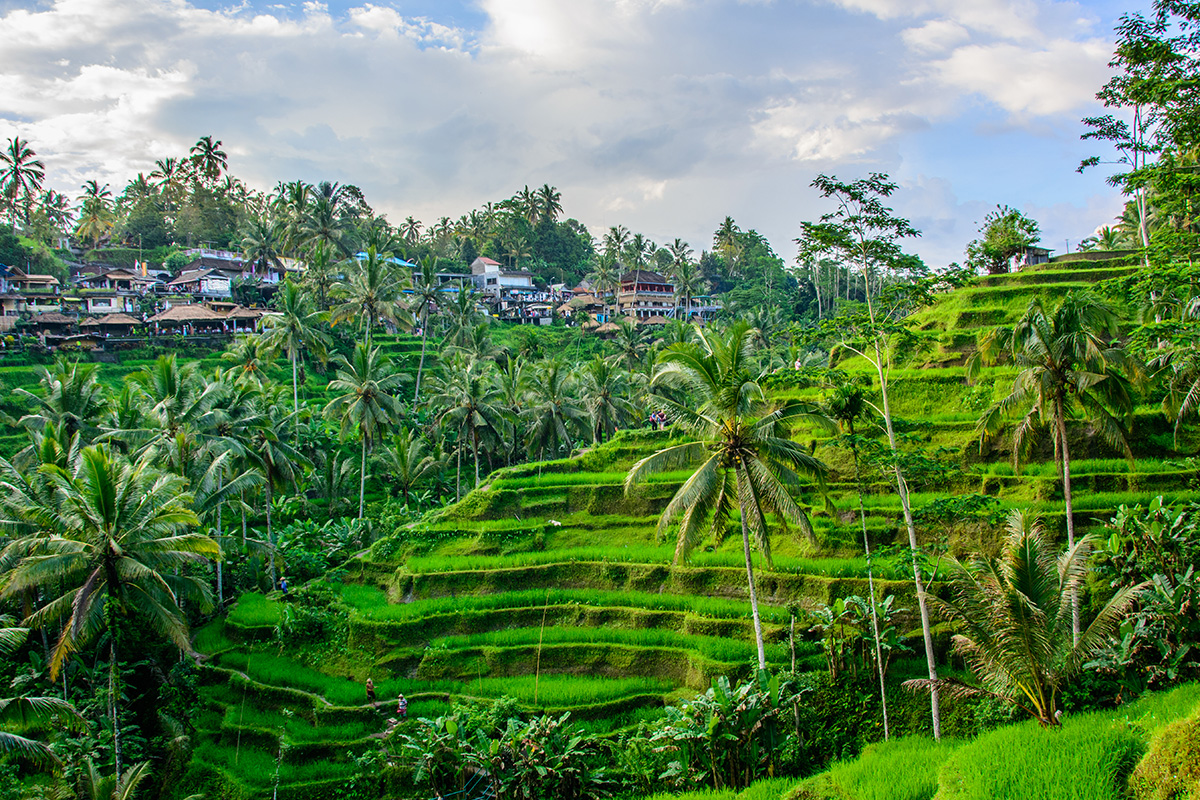 Liburan dengan Jaga Jarak dan Tetap di Rumah Saja? Tetap Seru dengan Jalan-Jalan Online, Ikut yuk